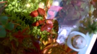 VID-20131103-00006