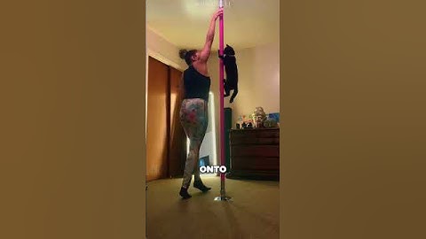 The pole dancing cat 🐈