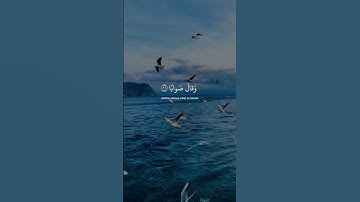 أستغفر الله 🎧🖤 #القرآن_الكريم #عبدالرحمن_مسعد #تلاوة_خاشعة #راحة_نفسية