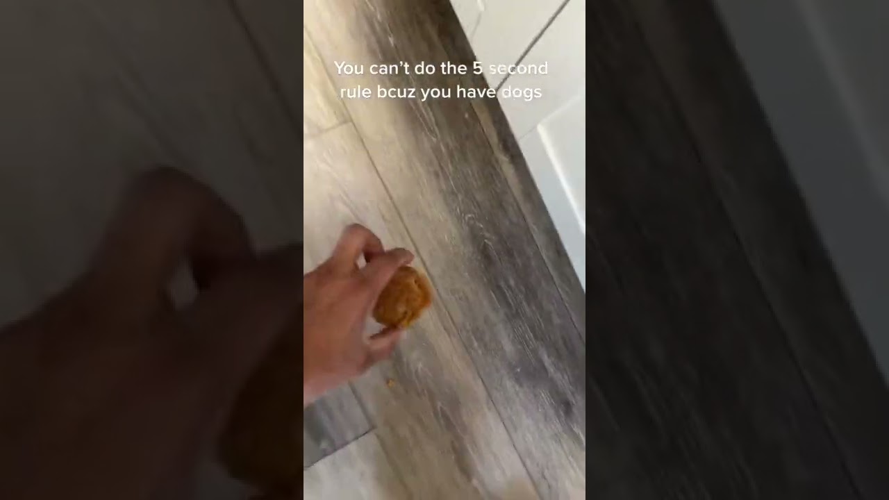 If it hits the floor, it’s dog food 😂 by TikTok: kevjr2 / 