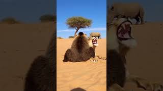 Who Is Making That Noise Under Me