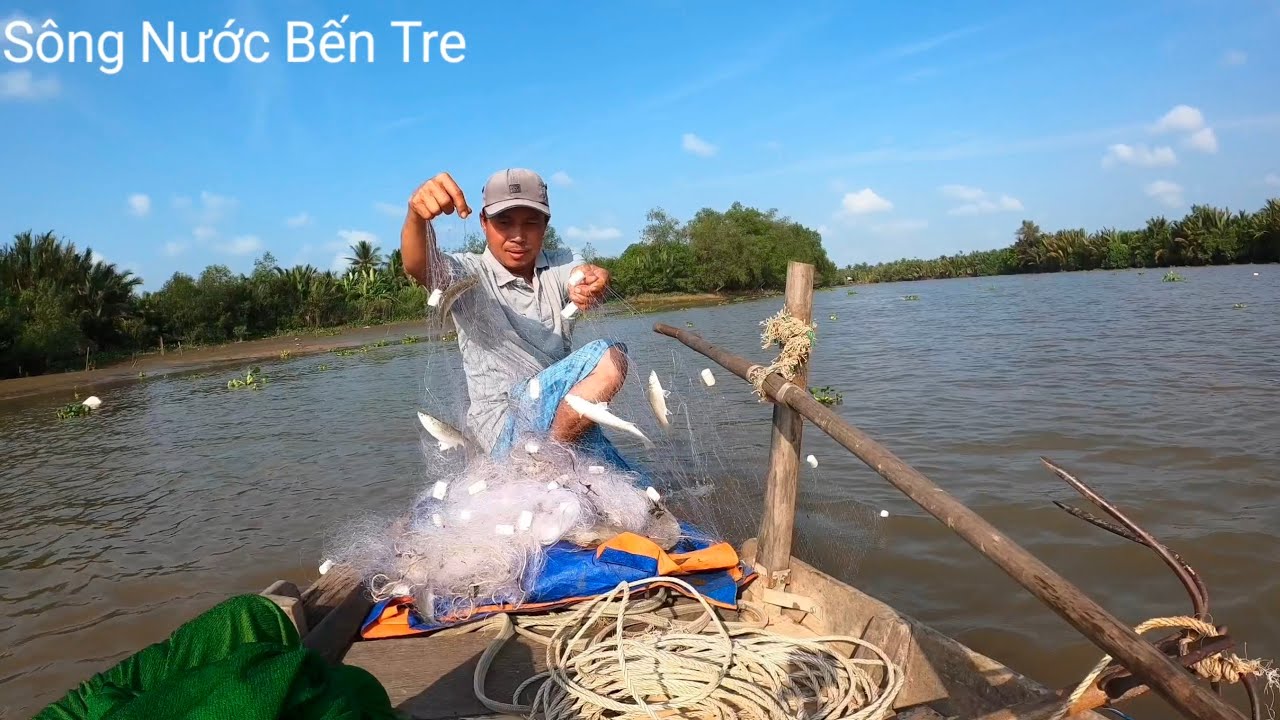 Đi Thả Lưới Cá Đối Dính Đủ Thứ Cá Luôn - Sông Nước Bến Tre 