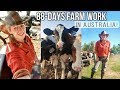 WORKING ON A FARM IN AUSTRALIA! | BACKPACKER JOBS FOR 88-DAYS!
