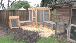 chicken run coop chickens garden build visit backyard plans