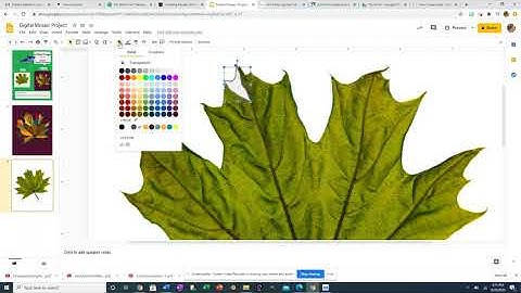 Digital Mosaic Tutorial