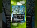 Fotodiox Spring 2026 Photo Contest #photography