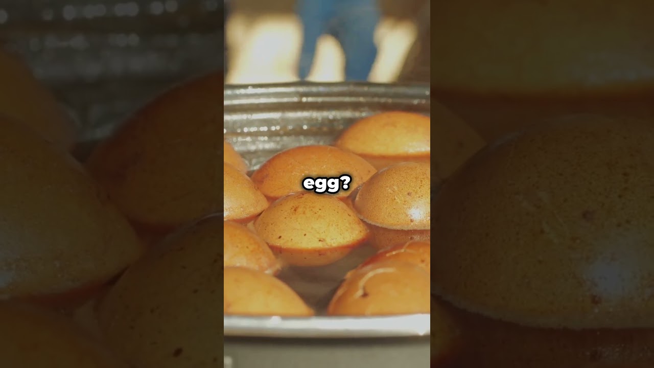 Discover Beppu City of Hot Springs