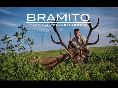 BRAMITO - Ep. 1: Caccia al cervo in Ungheria - YouTube