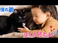 本当の兄弟みたい💓猫と赤ちゃんの尊い日常