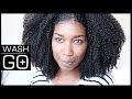 My MOST DEFINED Wash and Go | Easy Technique - Naptural85