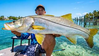 4 Days COMBAT Fishing For DOCK MONSTER Summer Snook