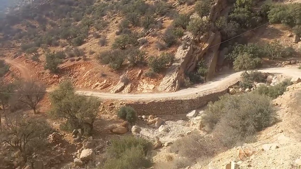 منطقة ألما . تربية النحل و إنتاج عسل الخروب و عسل الزكوم.