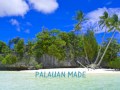 Palauan made by tj ilek