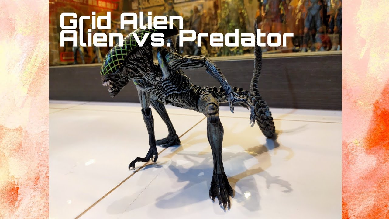 NECA Alien vs. Predator - Grid Alien [Action Figure Review] - YouTube