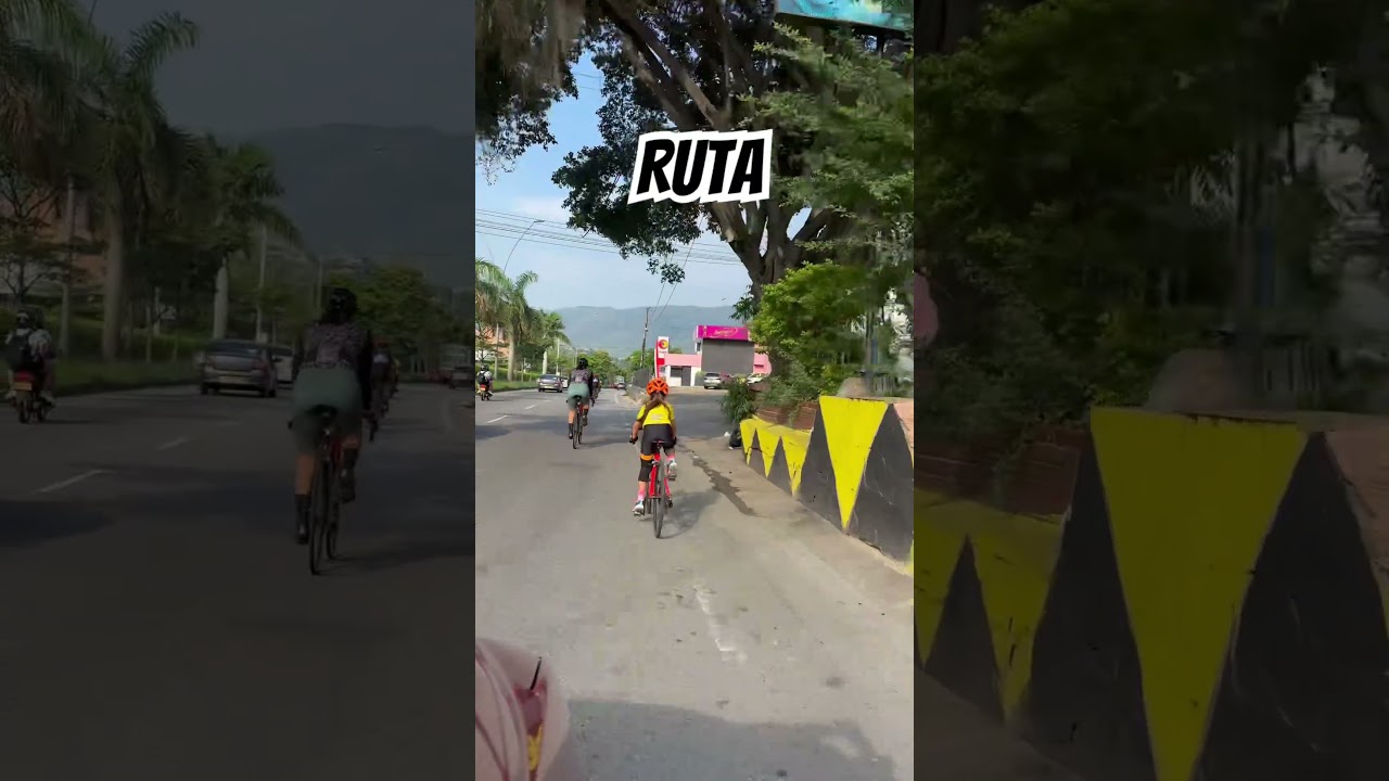 #ruta