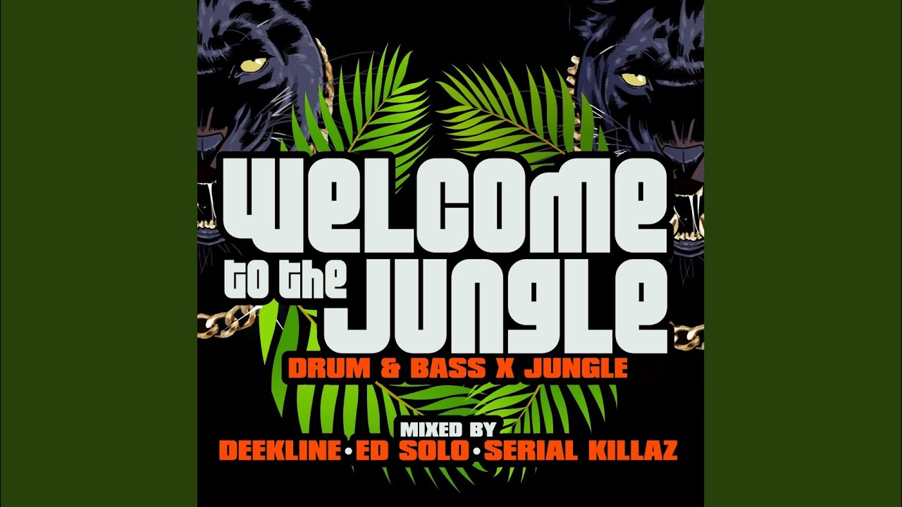 Download Welcome To The Jungle (Continuous DJ Mix, Pt. 1)