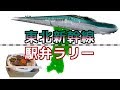 【東北新幹線駅弁ラリー】東北新幹線の改札内にある駅弁屋巡り / Tohoku Shinkansen station lunch rally