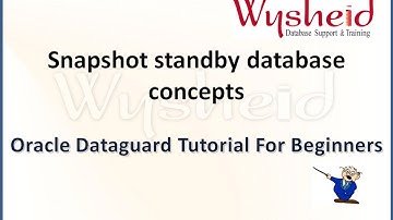 Snapshot standby configuration concept |  open  standby for read write  for  temporary purpose