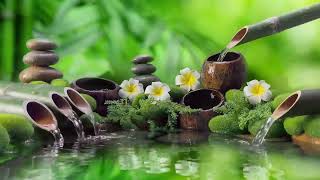 Relaxing Music - Nature Soul Healing Music Meditation Music Spa Music Sleep Study Music