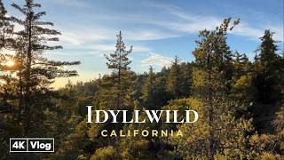 Temecula & Idyllwild, California 🌲 | A Peaceful Summer Weekend Getaway in 4K