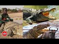ATARI YATANDA KWA KUONGEZEKA MATUKIO YA MAMBA RUFIJI ATARI YATANDA KWA KUONGEZEKA MATUKIO YA MAMBA RUFIJI