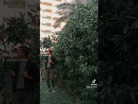 انا عندي حلم واحققه بس طول مااخواتي معايا وفي ضهري