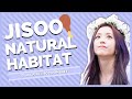 Jisoo in Her Natural Habitat - ENGSUB