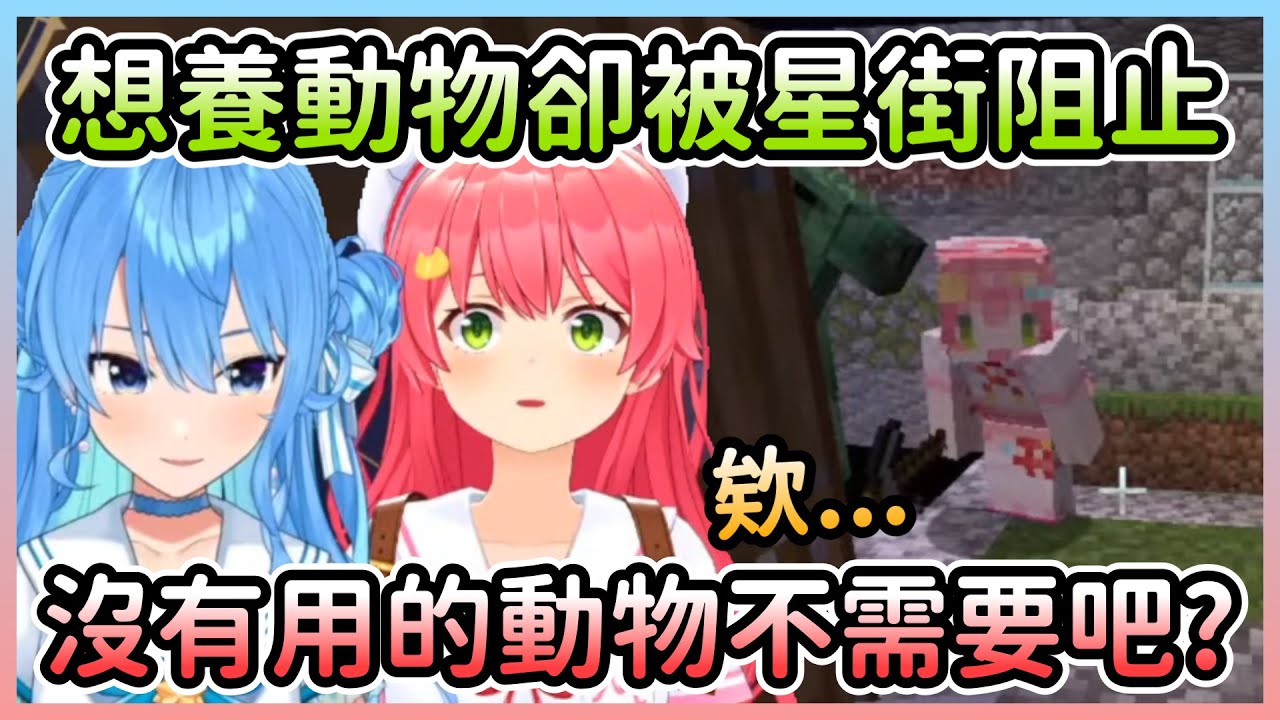 Miko想要養酷酷的稀有馬，星街化身為惡毒家長剝奪Miko的快樂w【星街すいせい/星街彗星×さくらみこ/櫻巫女 (MiComet)】【Hololive中文】