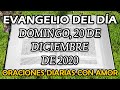 Evangelio del día Domingo, 20 de Diciembre de 2020 - Concebirás en tu vientre y darás a luz un hijo