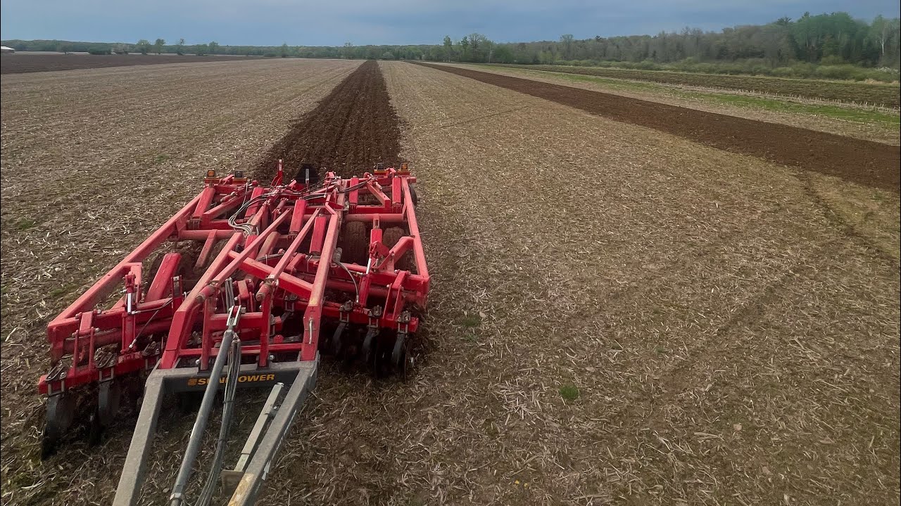 Весна была веселой.