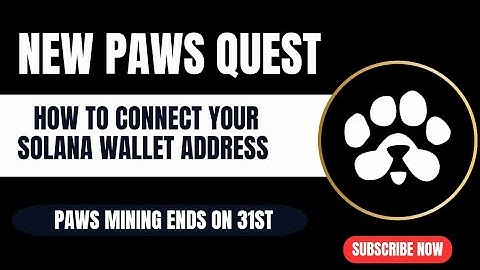 New Paws Quest | How To Connect Your Solana Wallet Address