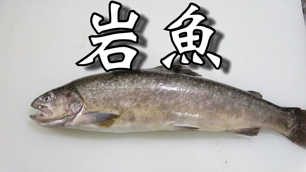 【完全再現】食戟のソーマ実写化！イワナのおかき揚げ作ってみた