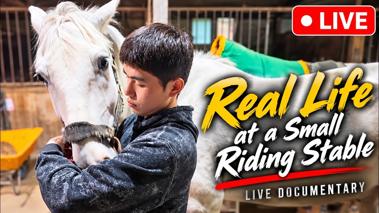 Real Life at a Small Riding Stable | LIVE Documentary - YouTube