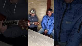 UCU DE LA MEDIAȘ LIVE