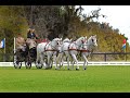 THE WALNUT HILL CARRIAGE DRIVING COMPETITION 