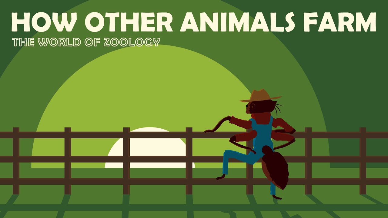 Humans Aren't The Only Animals That Farm