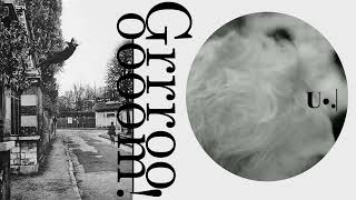 Skinoutburnface - U. Audio