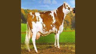 يابقرة صبي لبن