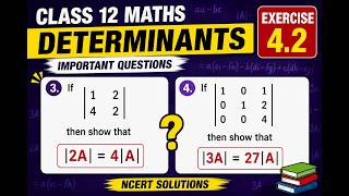 Class 12 Maths Determinants Exercise 4.1 Important Questions 🔥 NCERT Solutions