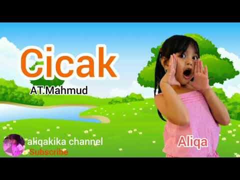 lagu Anak Cicak Cicak Di Dinding : shieren  (aliqakika channel)  aliqa-shieren