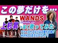 1stアルバムの隠れ名曲!WANDS「この夢だけを...」(アコースティックver.)上杉昇っぽく歌ってみた(上杉昇デビュー30周年記念~WANDS祭り月間)