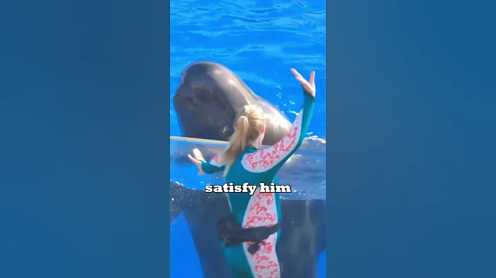 NASA's DISTURBING experiment that broke a dolphin's heart 🐬💔 #shorts #truelife