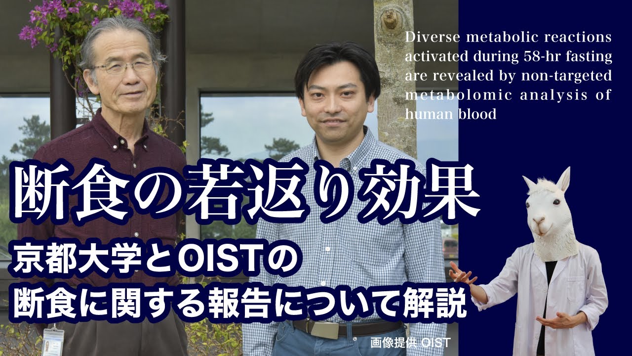 断食 ファスティング 中のタバコについて 喫煙ok 禁煙すべき Youtube