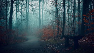 #5 Khu rừng ma thuật - Nghe Truyện Tiếng Đức Khi Ngủ - tự học tiếng Đức - luyện nghe tiếng Đức