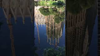 Sagrada Familia reflection