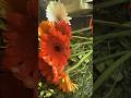 Art which is not much appreciated.#videography #viral #fypシ #bouquet #bouquettutorial #floralart