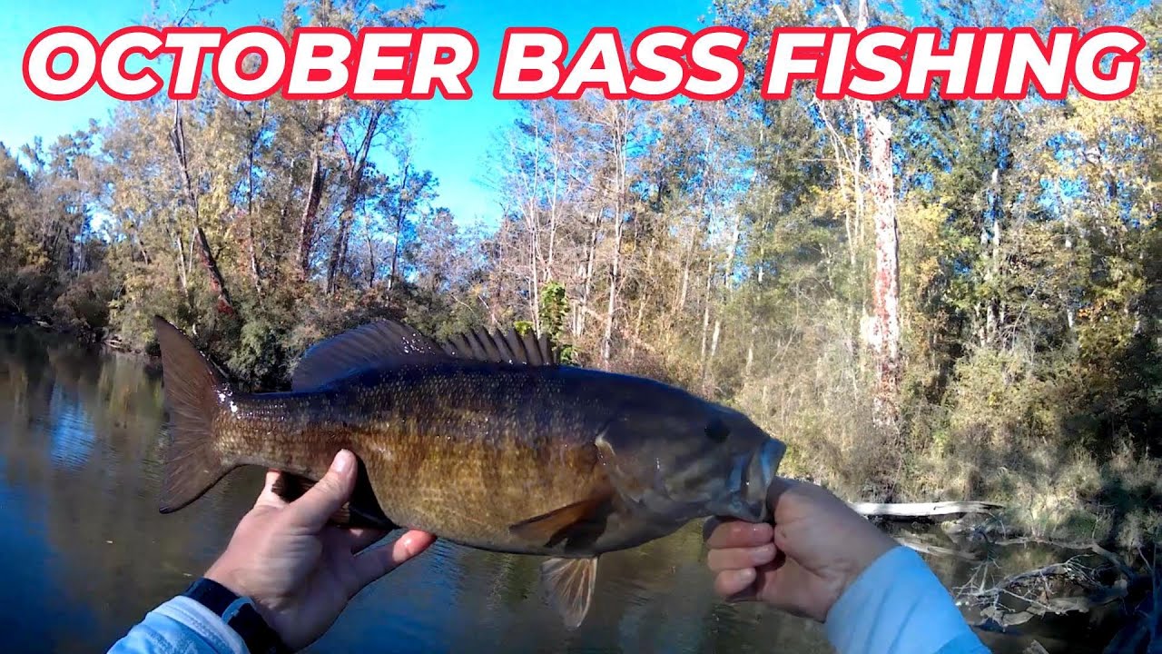 OCTOBER BASS FISHING (PART 2 )