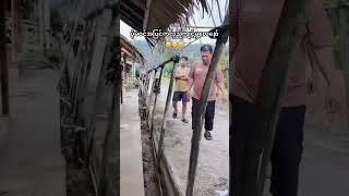 Download Lagu #funny #foryou #automobile #allhallowsday #lifeisbutadream #ihavethisthingwithplants MP3