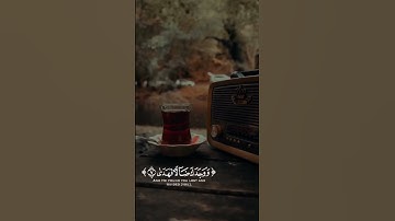 ووجدك ضالا فهدى || #تلاوة_خاشعة #المنشاوي سورة الضحى🥀♥️