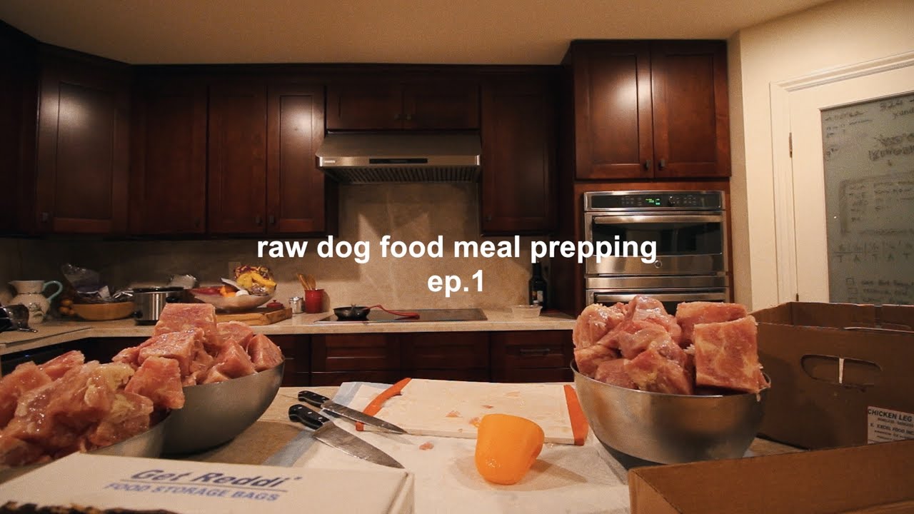 raw dog food meal prep // ep. 1 YouTube
